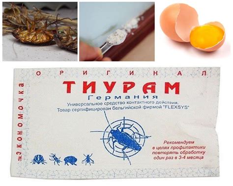 Тиурам от тараканов - инструкция по применению