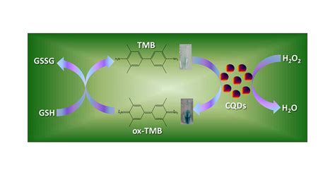 A Facile And Simple Strategy For The Synthesis Of Label Free Carbon