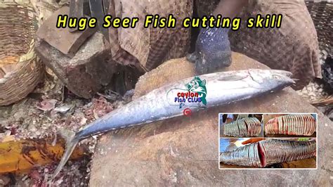 Amazing Seer Fish Cutting Skill Fishcutting Fishing Fish Youtube