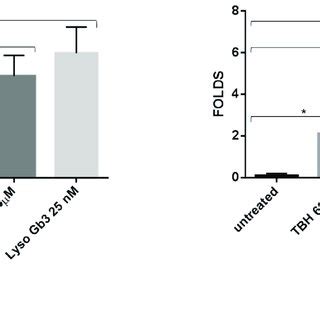 Lyso Gb And Gb Effect On Huvecs Senescence Senescence Status Was