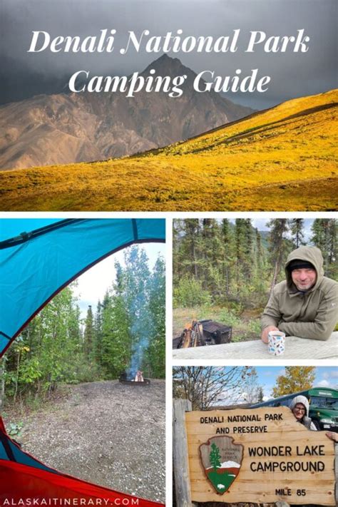 Guide to Denali National Park Camping 2025: Tips & Campgrounds