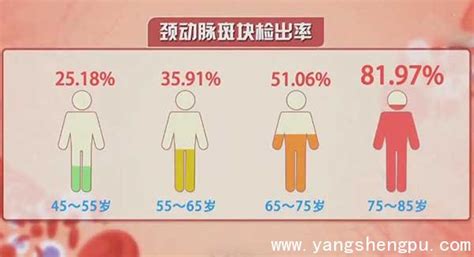 颈动脉斑块 一文读懂颈动脉超声报告 健康160