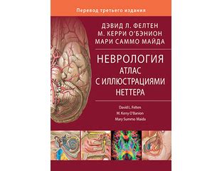Неврология. Атлас с иллюстрациями Неттера. Д. Л. Фелтен, М. К. О’Бэнион ...
