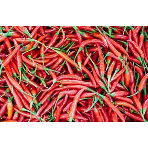 Jual Cabe Kriting Merah Gram Shopee Indonesia