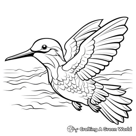 Ruby Throated Hummingbird Coloring Pages - Free & Printable!