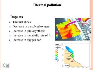 marine pollution pptx