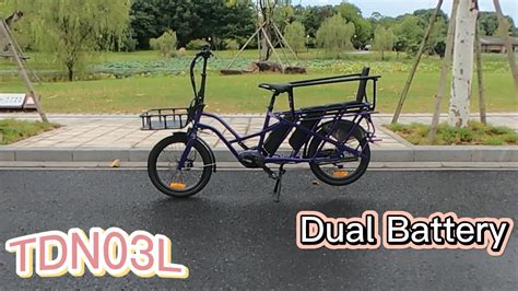 Adult Dual Battery E Bike 48v 500w Mid Drive Motor Electric Bicycle 20inch Electric Cargo Bike