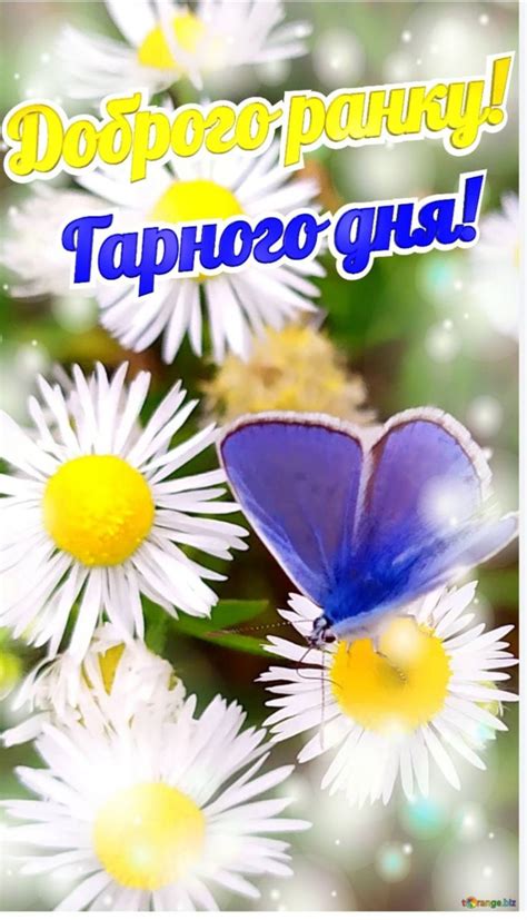 Pin by Светлана Гурина on аватарки, картинки