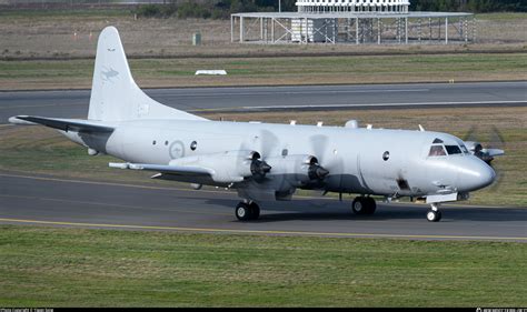 A Royal Australian Air Force Lockheed P C Orion Photo By Yiwen