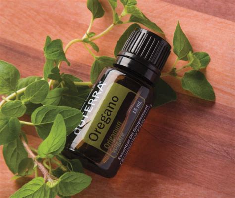 Dōterra Oregano Essential Oil 15ml Do Essential Oils Australia