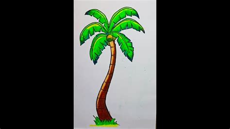 How To Draw Coconut Tree Easy And Simple Drawing And Coloring Tutorial