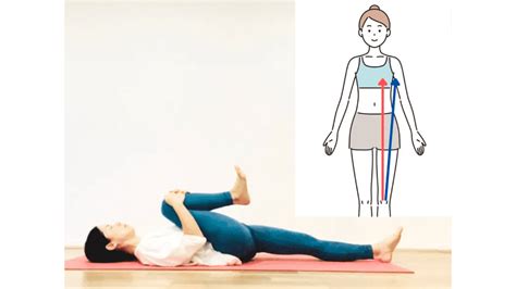 腰痛の原因＝股関節のつまり感とカチコチお尻を解消【寝たままできる】ほぐし＆ストレッチ ヨガジャーナルオンライン