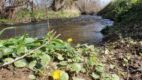 Im Kreis Waldeck Frankenberg K Nnten B Che Wild Werden