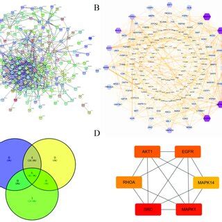 The Protein Protein Interaction PPI Network Of Intersection Targets