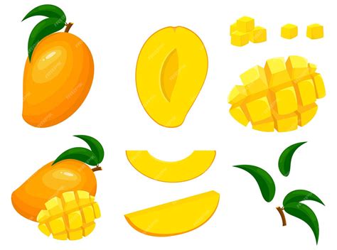 Premium Vector Set Of Fresh Whole Half And Cut Slice Mango Fruits