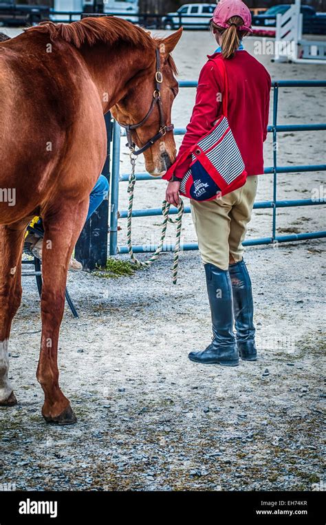 Horse show competition Stock Photo - Alamy