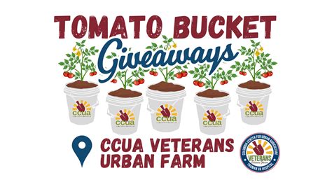 Tomato Bucket Giveaway At Ccua S Veterans Urban Farm — Columbia Center For Urban Agriculture