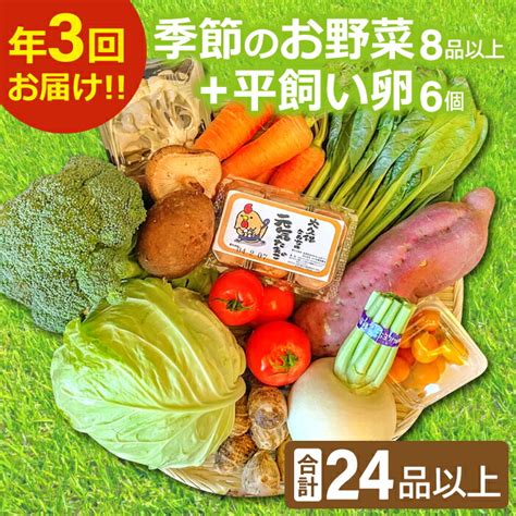 【楽天市場】【ふるさと納税】 【定期便】季節のお野菜 8～10品 平飼い卵 6個 詰め合わせ セット 野菜 減農薬 減化学肥料 やさい 旬の