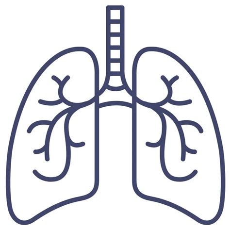 Anatomy Breath Lungs Icon Solid Style Stock Vector By ©iconfinder 469990936