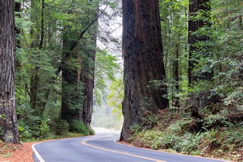 12 Epic California Road Trip Routes Go Travel California