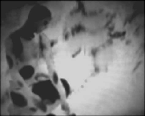 Nijinsky 1912 de Christian Comte (2011) - Unifrance