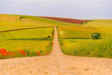 10 Charming Towns Along The Camino Francés
