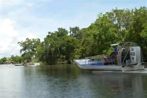 The hunt for Louisiana Swamp Monsters