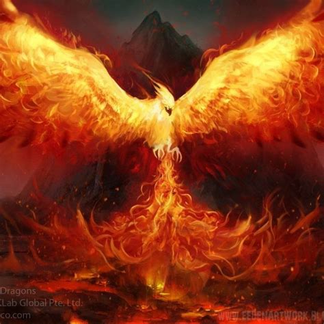 10 New Phoenix Rising From The Ashes Wallpaper Full Hd 1080p For Pc