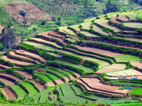 Poombarai Village View Kodaikanal TrampTraveller