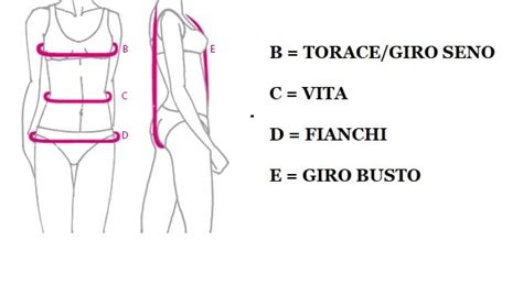 Immagine Della Dimensione Del Seno B