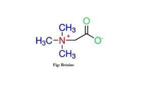 What Is Zwitterion Science Query