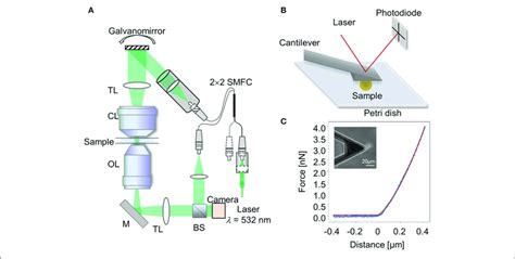 Experimental Setups A Schematic Diagram Of The Optical Setup For