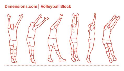 Volleyball Block | Volleyball drawing, Volleyball, Volleyball poses