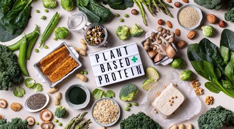 Plant-Based Protein | Yash Birla