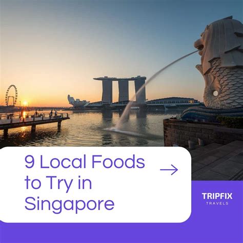 9 Local Foods To Try In Singapore Tripfix