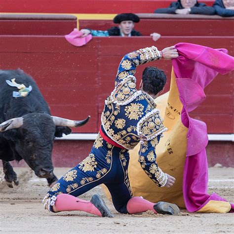 Valencia Bullfight Tickets Valencia Bullring Spain