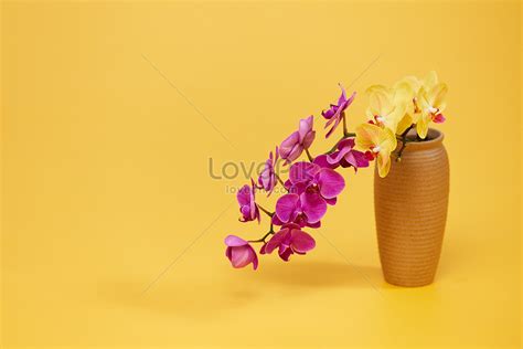 Chinese Style Flower Arrangement Phalaenopsis Picture And HD Photos ...