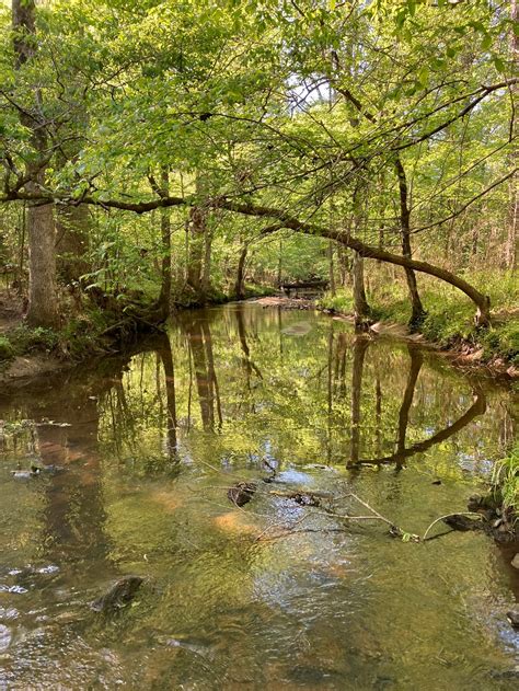 Georgia hunting lease now... - Hunting Land Rentals by Owner