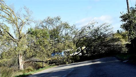 Coup de vent près de Montpellier un arbre couché en travers de la