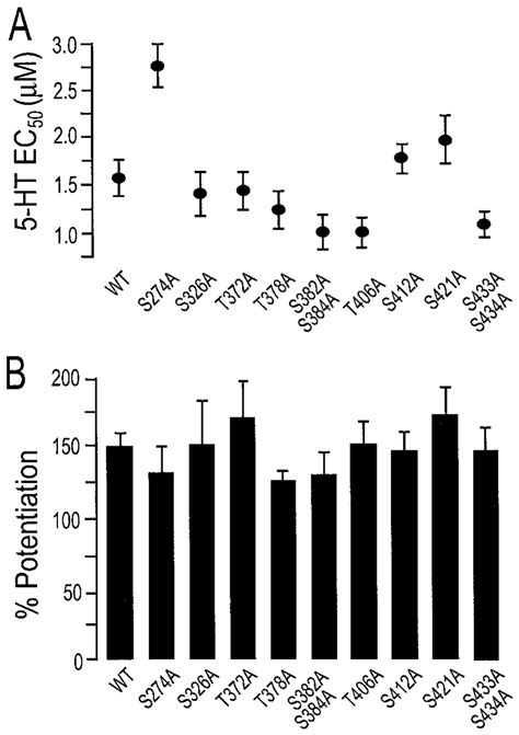 Point Mutations Of The Putative PKC Sites In The LIL Of The 5 HT 3A