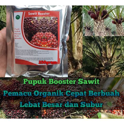 Jual Pupuk Sawit Organik Perangsang Dan Booster Sawit Cepat Berbuah