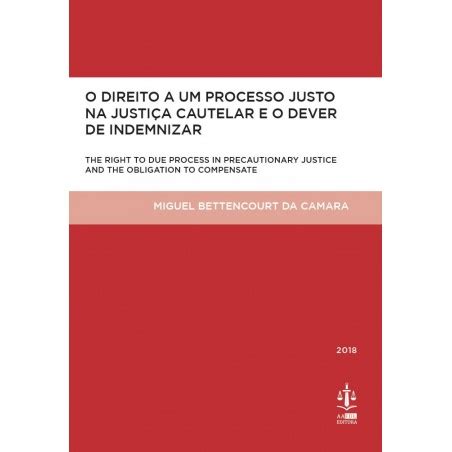 O Direito A Um Processo Justo Na Justi A Cautelar E O Dever De Inde