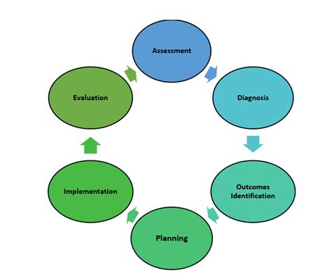 The Nursing Process Nursing Program Guide Libguides At Western