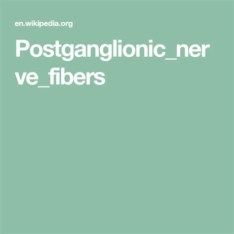 Postganglionic_nerve_fibers | Nerve fiber, Nerve, Vagus nerve