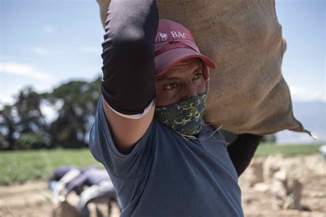 Plan Alimentario Beneficiar A Familias Del Trifinio