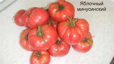 Минусинские помидоры: описание сорта, отзывы, фото, урожайность