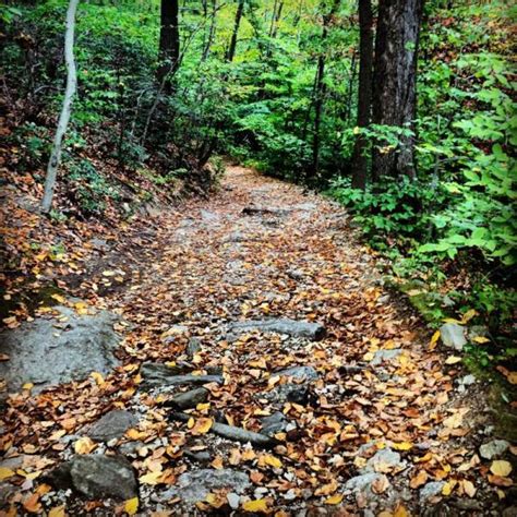 Wissahickon Valley Park Mountain Bike Trail in Philadelphia ...