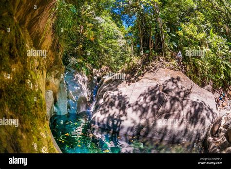 Francecaraïbes Petites Antilles La Guadeloupe Basse Terregourbeyre