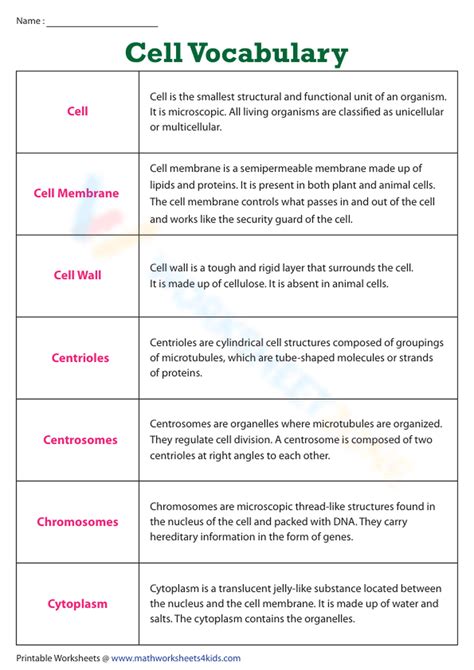 Cell Vocabulary Worksheet