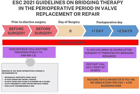 Esc 2021 Guidelines On Bridging Therapy In The Perioperative Period In